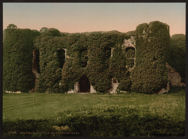 AGY_Beaumaris_10348_Castle_Banqueting_Hall
