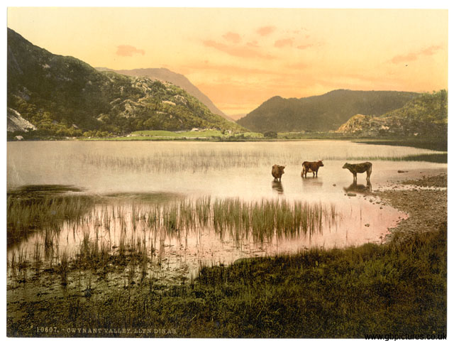CAE_Cwynant_Valley_10607_Llyn_Dinas