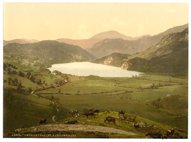 CAE_Cwynant_Valley_10608_Nant_Cwynant