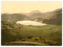 CAE_Cwynant_Valley_10608_Nant_Cwynant