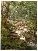 CAE_Penmaenmawr_10355_Fairy_Glen_and_bridge