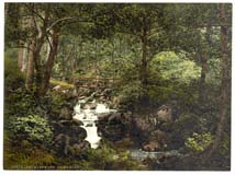 CAE_Penmaenmawr_10579_ Fairy_Glen_Waterfall_I