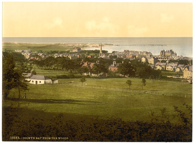 DEN_Colwyn_Bay_10563_From_the_woods