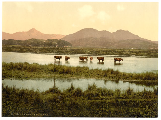 MER_10561_Cynicht_and_Moelwyn