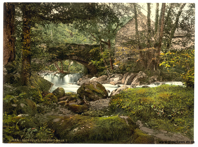 MER_Dolgellau_10544_Dolgelley_Torrent_Walk_I