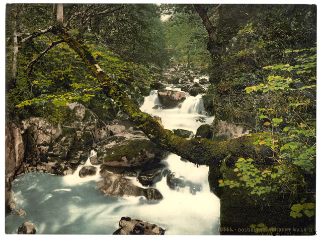 MER_Dolgellau_10545_Dolgelley_Torrent_Walk_II