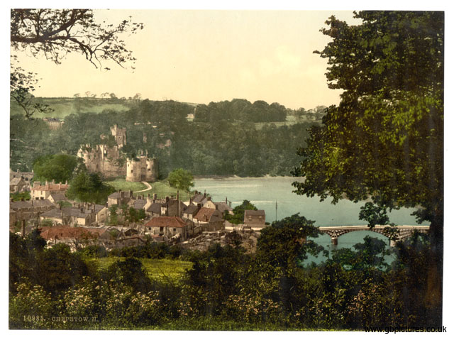 MON_Chepstow_10985_General_view_II